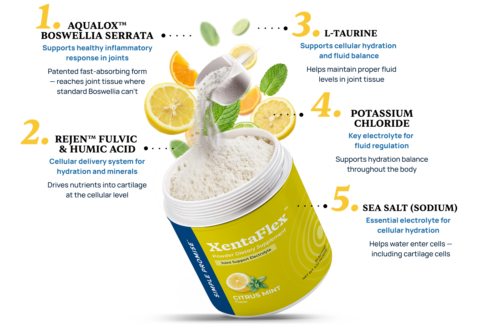XentaFlex product with five key ingredients: AquaLOX Boswellia, Rejen fulvic and humic acid, L-Taurine, Potassium Chloride, and Sea Salt